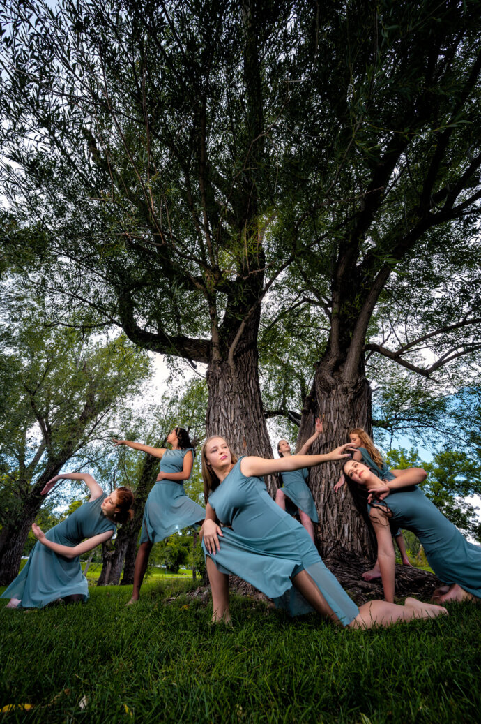 Trees and Dancers